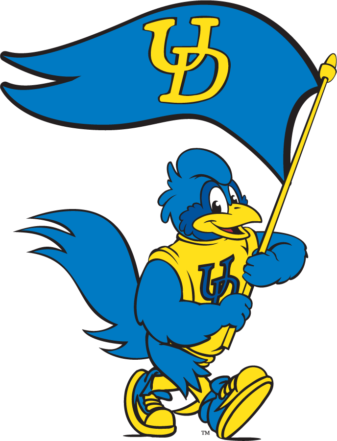 Delaware Blue Hens 1999-2009 Mascot Logo v16 DIY iron on transfer (heat transfer)